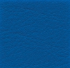 Farba vojenská modrá