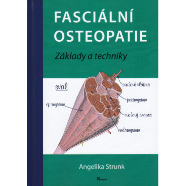 Fasciálna osteopatia základy a techniky