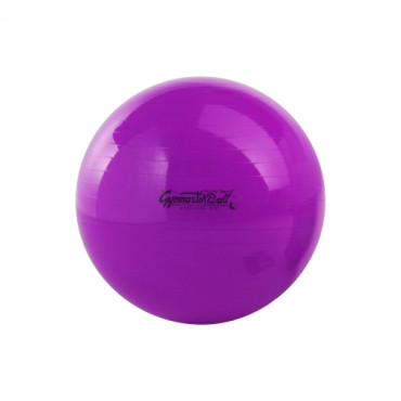 Cvičebná lopta GymBall 53 cm fialová