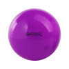 Cvičebná lopta GymBall 65 cm fialová