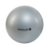 Cvičebná lopta Pro Maxafe 65 cm strieborná