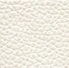 Farba biela