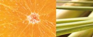 Pomaranč - citrónová tráva