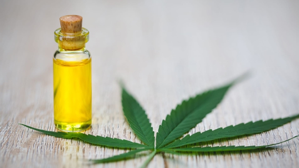 Cannabis vs. CBD olej